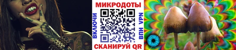 наркошоп  это Telegram  Галлюциногенные грибы прущие грибы  Новороссийск 